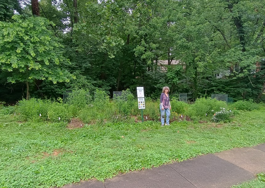 Native Plants Garden as of June 27, 2026